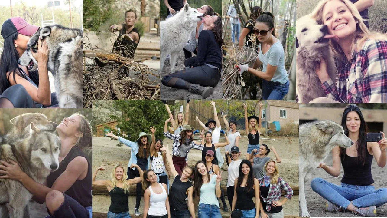 Wolf Sanctuary — Girls Only