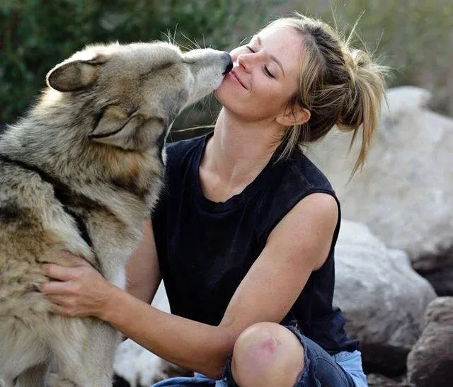 Sunset With the Wolves